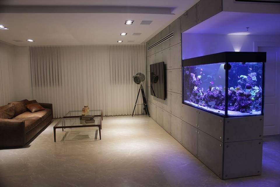 אקווריום בנתניה מים מלוחים ריף אלמוגים